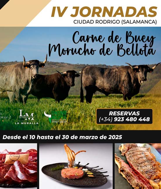 jornadas-gastronomicas-ciudad-rodrigo-carne-de-buey-morucho-de-bellota