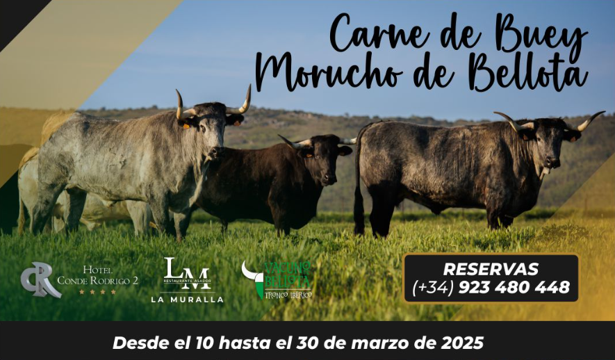 jornadas gastronomicas ciudad rodrigo carne de buey morucho de bellota